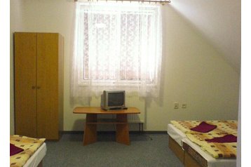 Pensiune familială Bystré 5